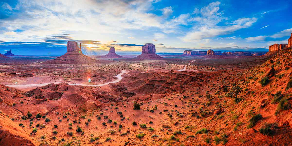 andrew coelho desert