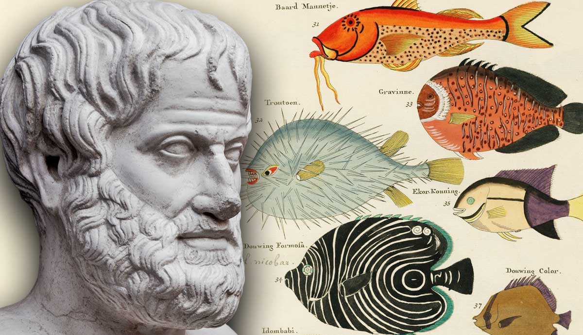 aristotle contributions to biology