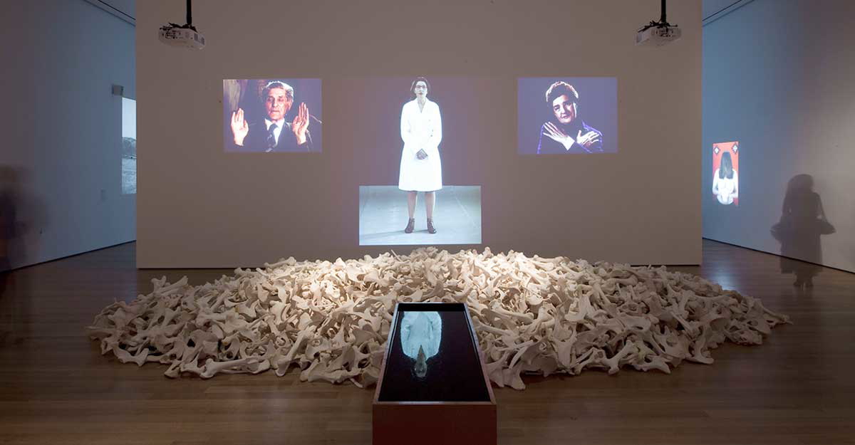 balkan baroque marina abramovic cow bones performance