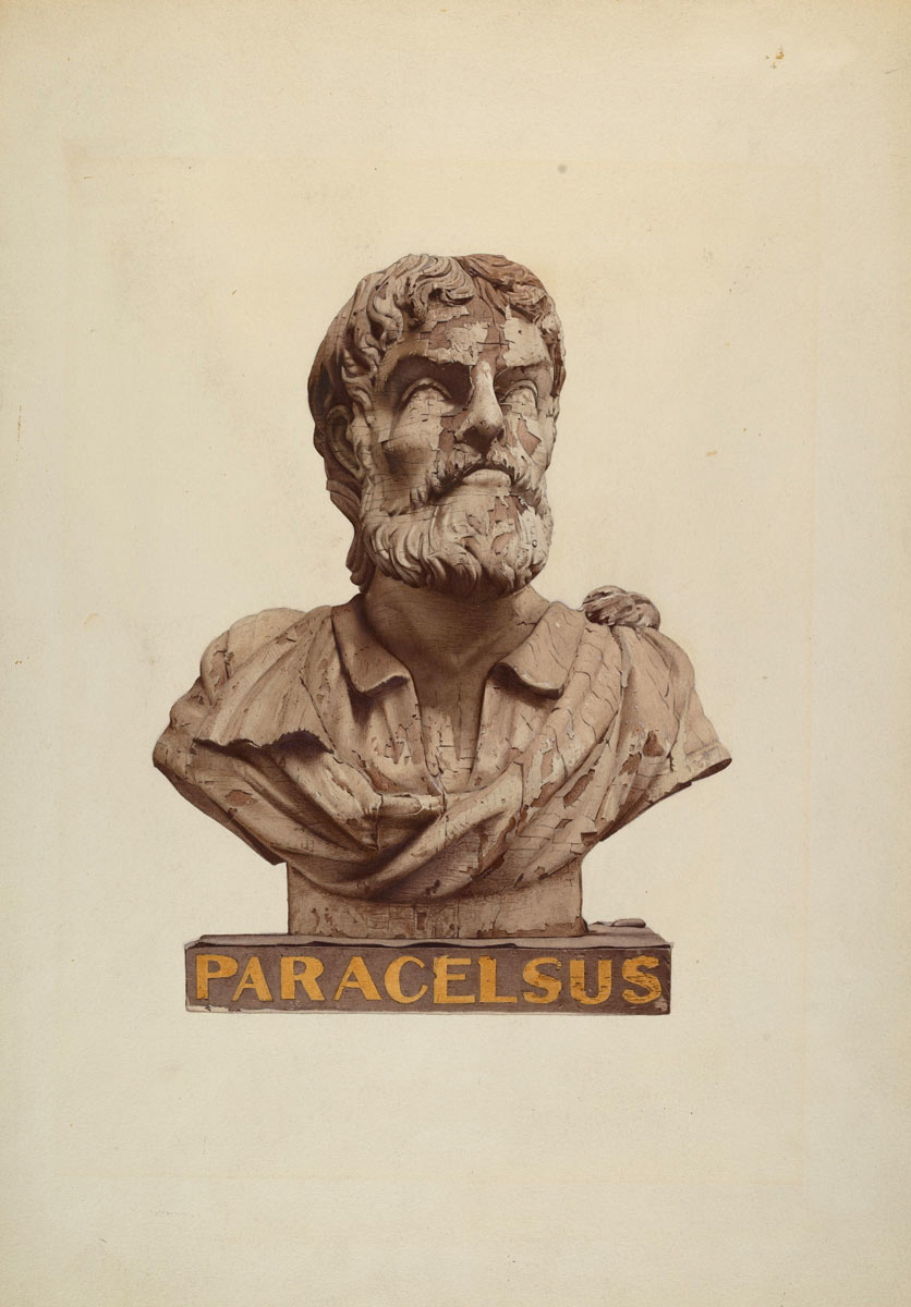 bust of paracelsus drawing