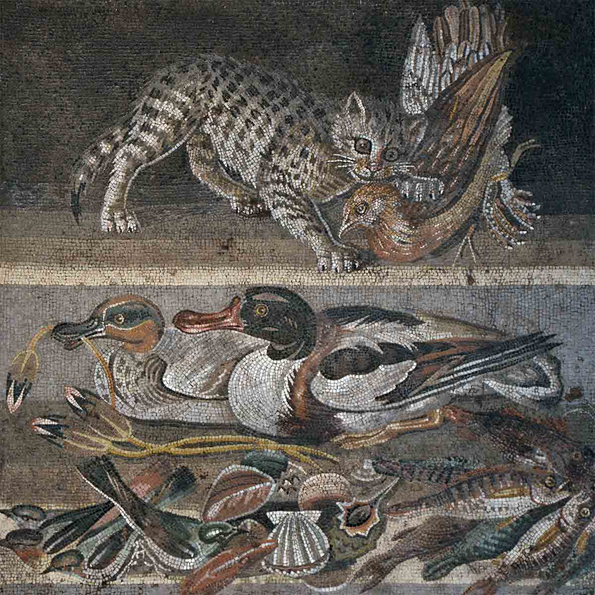 cat with a quail