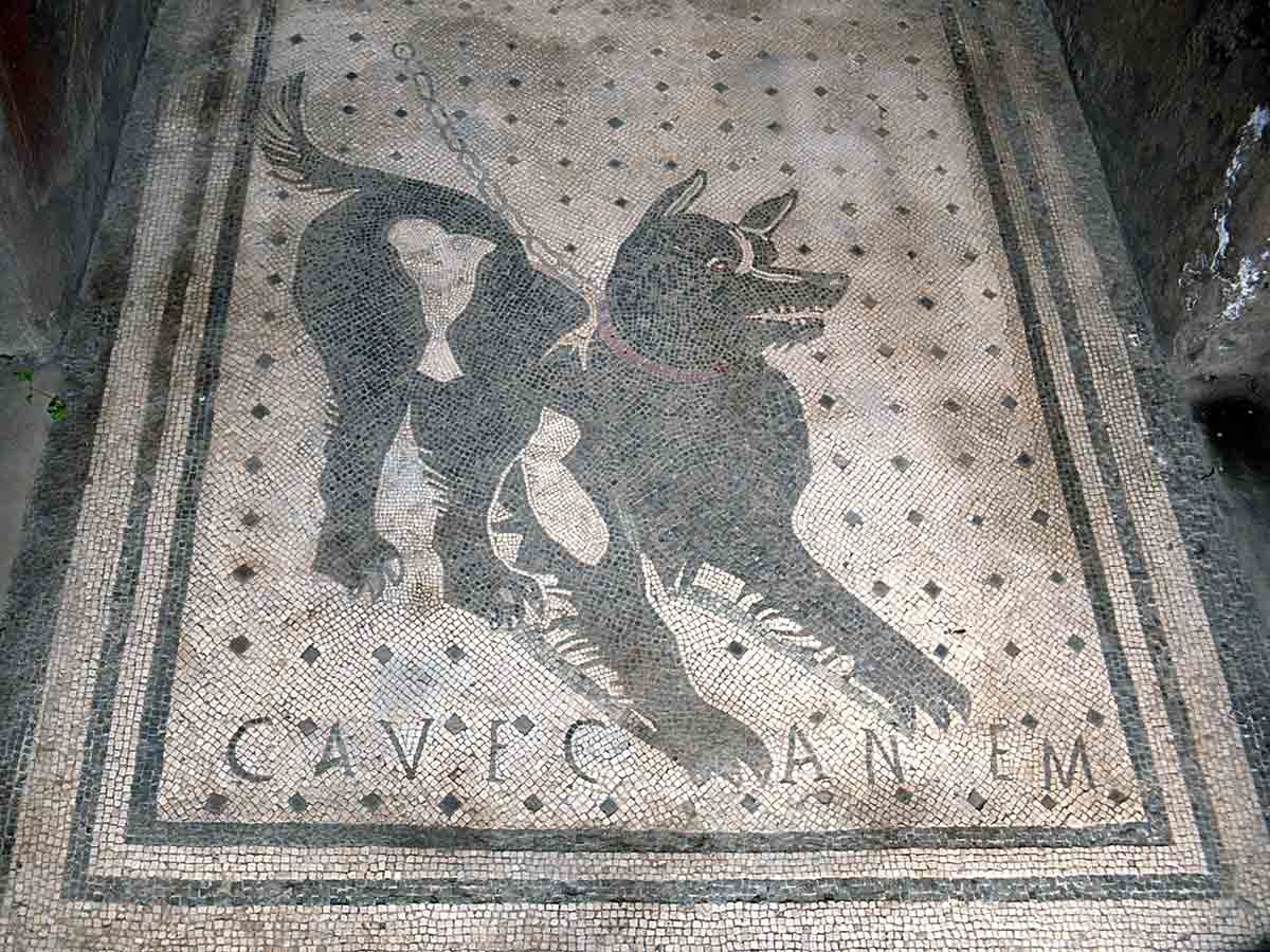 cave canem dog mosaic