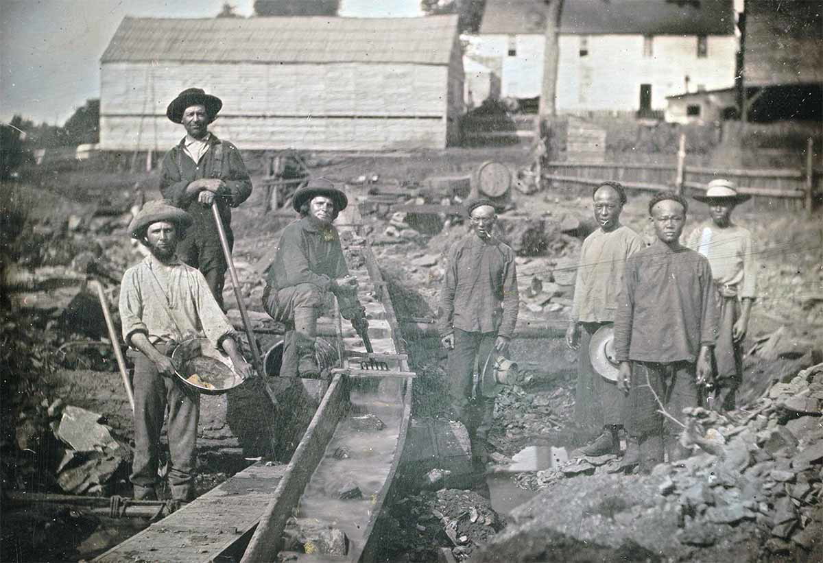 chinese immigrants california 1852