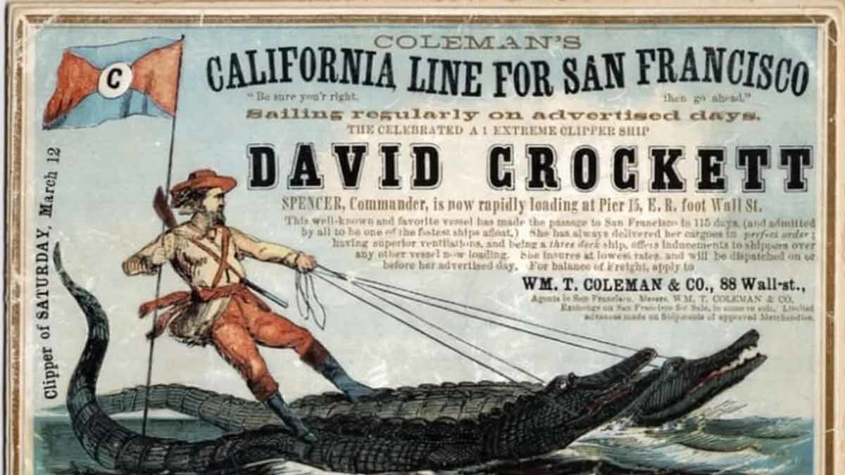 davy crockett alligators