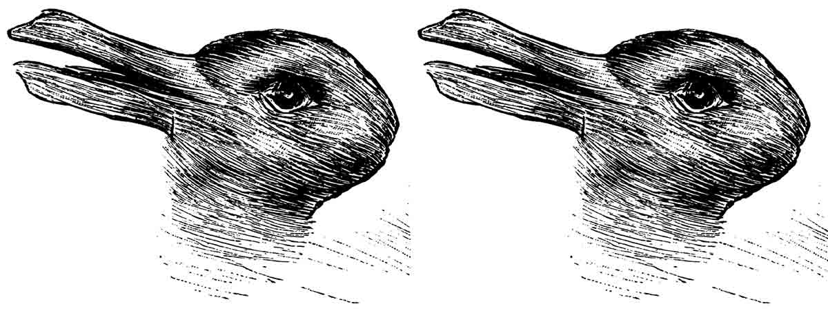 duck rabbit illusion
