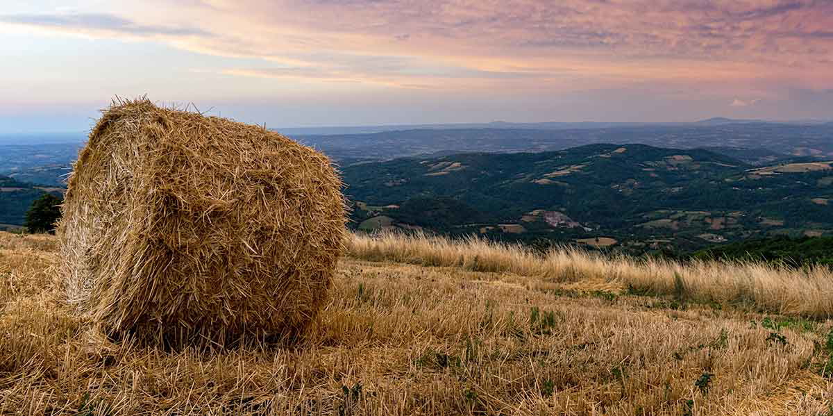field countryside serbia sky nikola tasic