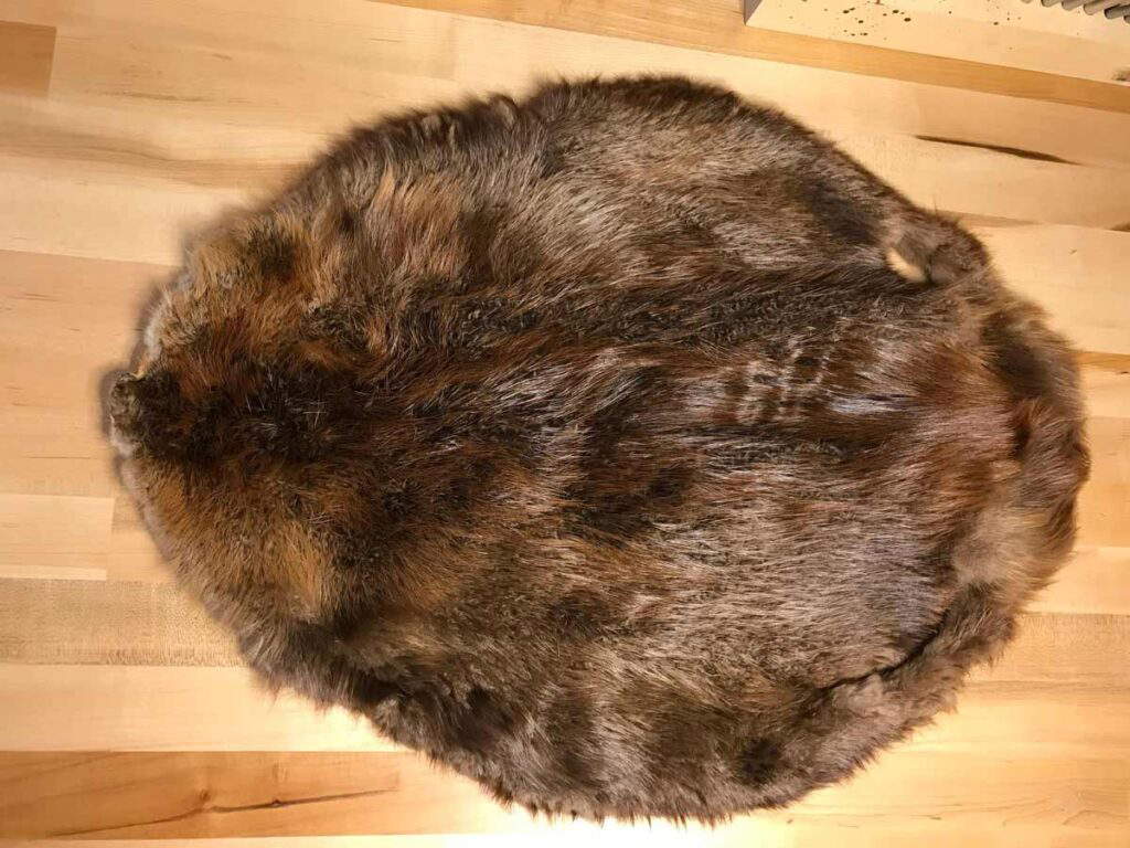 How Fur Trade Resulted in All-Out War: The Algonquin vs. The Iroquois
