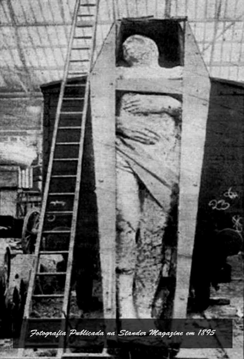 irish fossilized giant