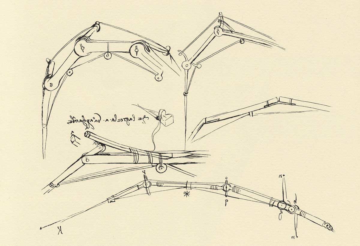 leonardo da vinci diagram of a proposed flying machine