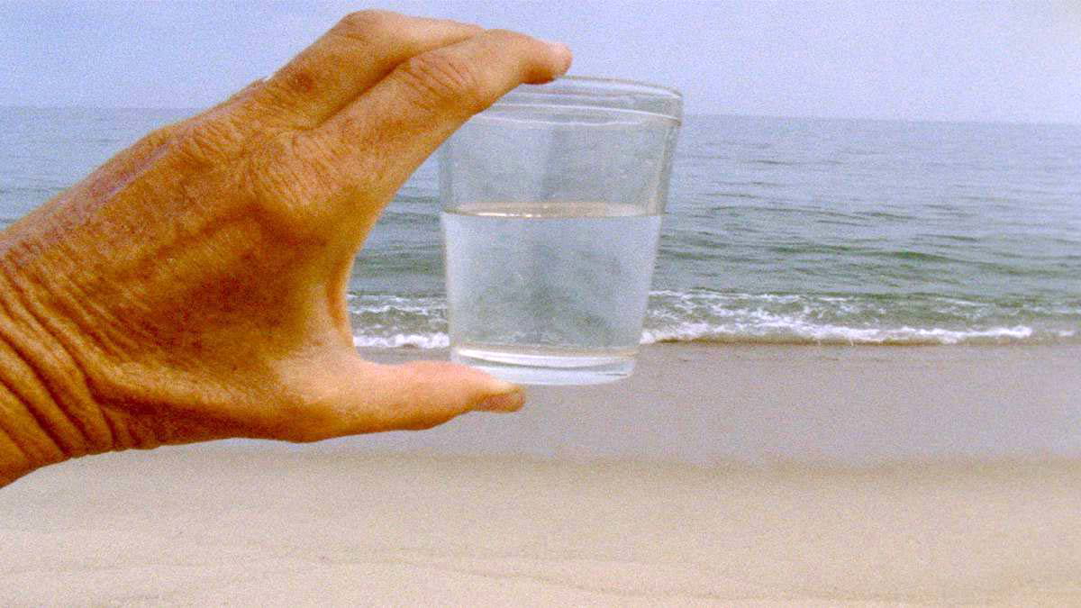 lynne sachs a month of single frames