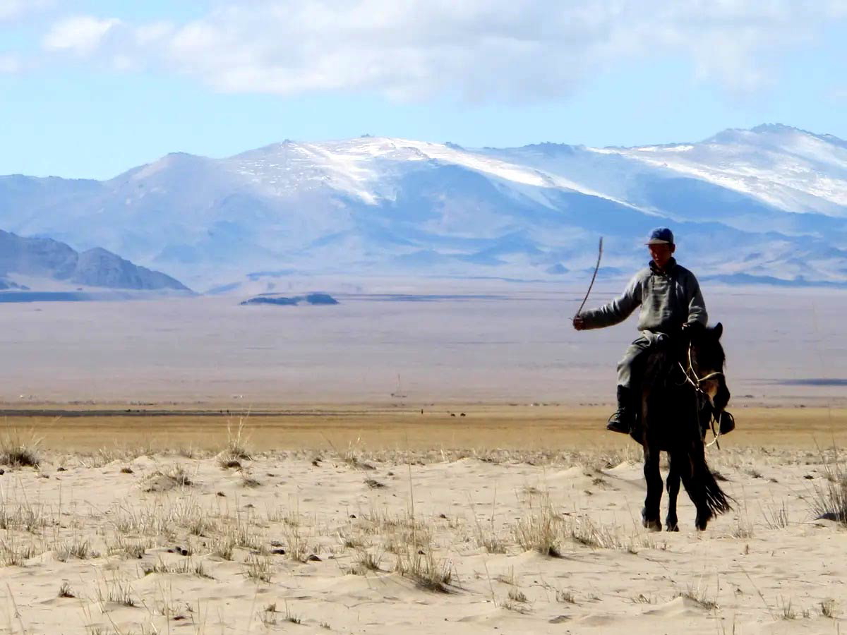 mongolian steppe horsie