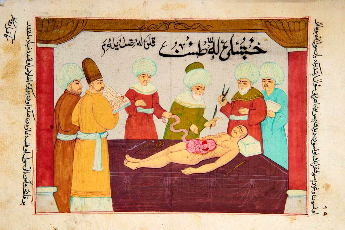 ottoman surgery physicians early modern