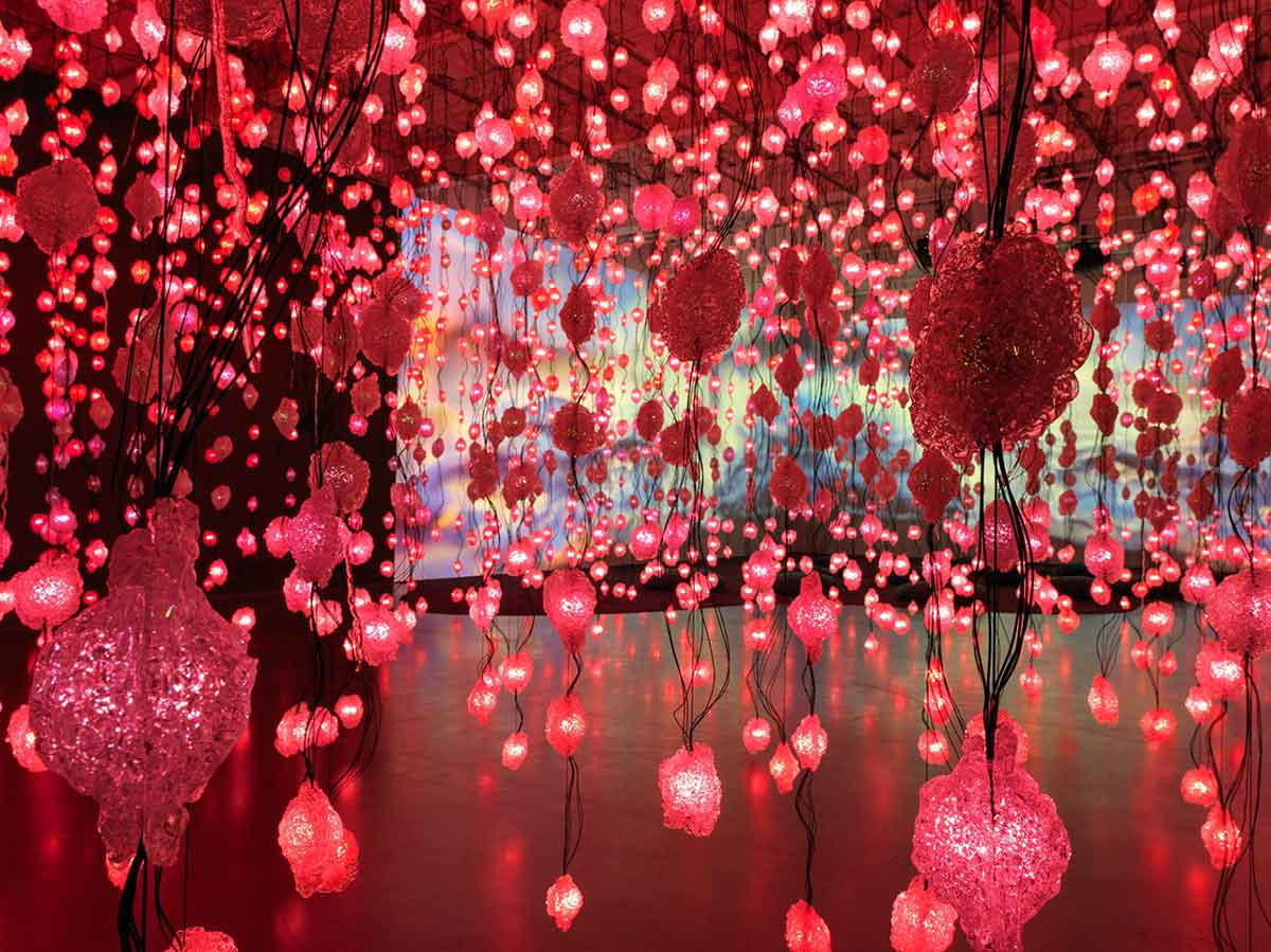 rist pixel forest