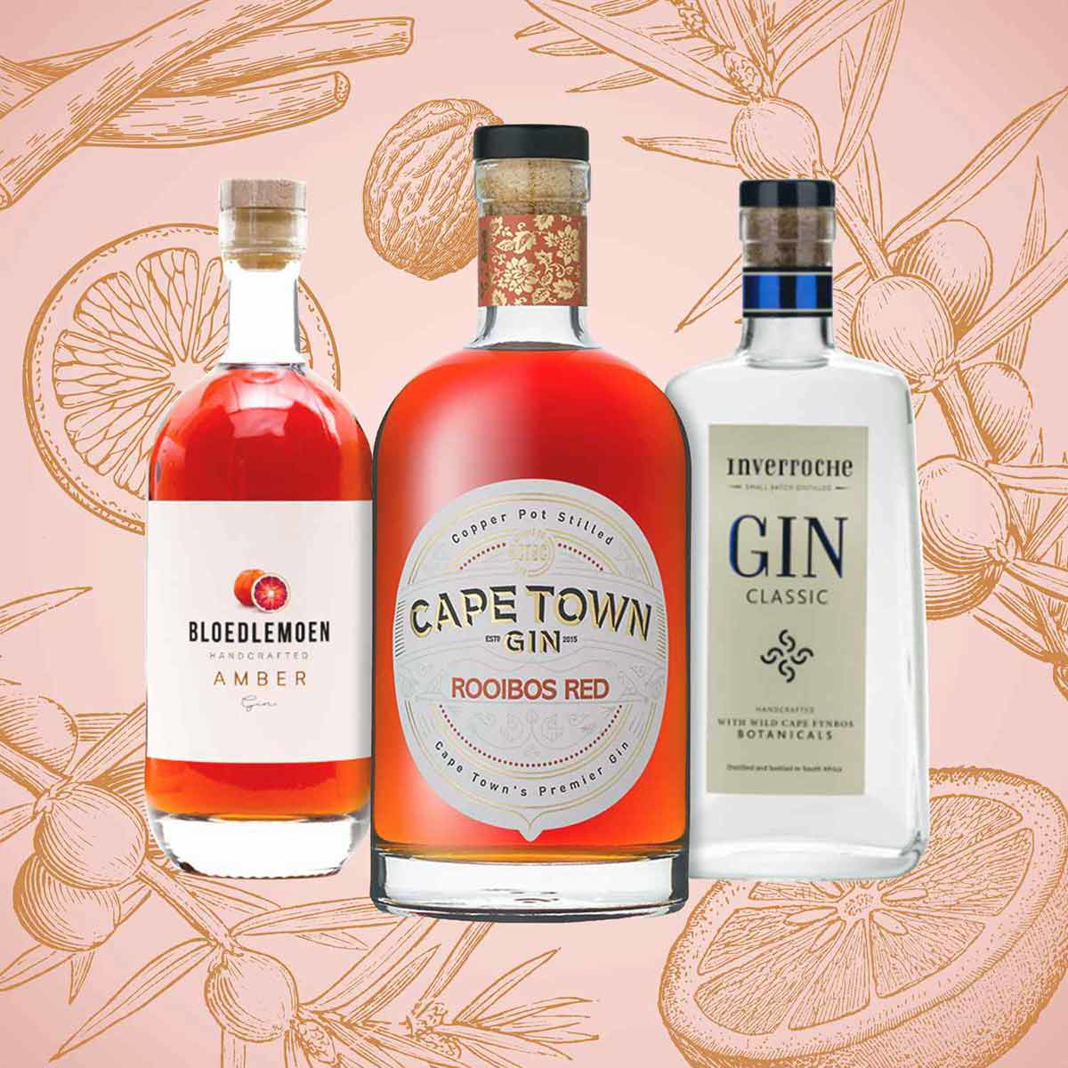 south african gin