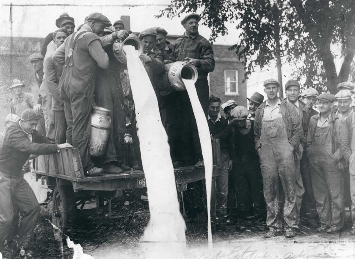 dairy farmers strike pouring milk ground 1933 photo