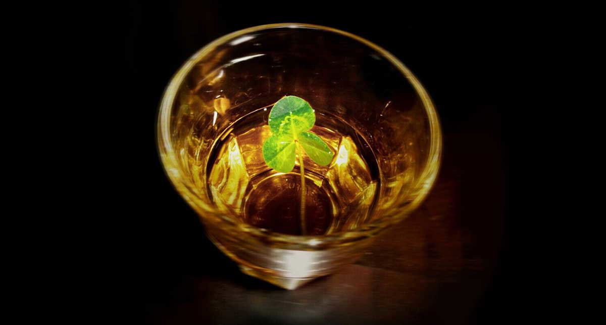 The St Patrick’s Day tradition of drowning the Shamrock. Source: Celture