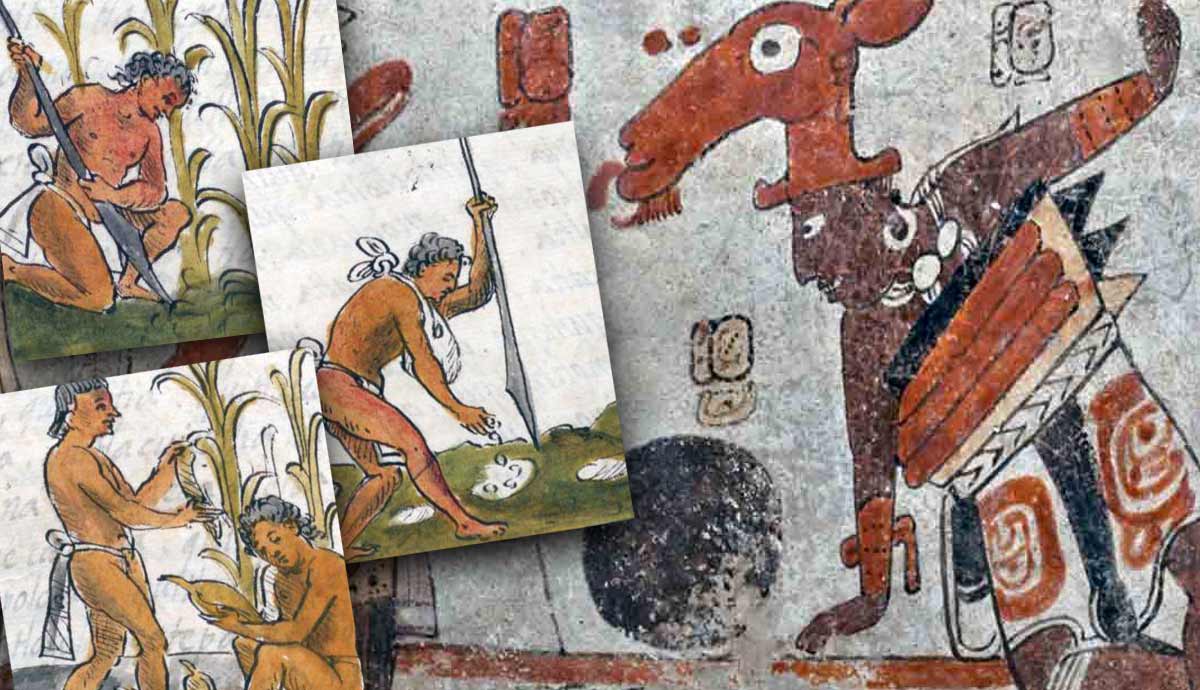 Famous Aztec, Maya, Inca Inventions