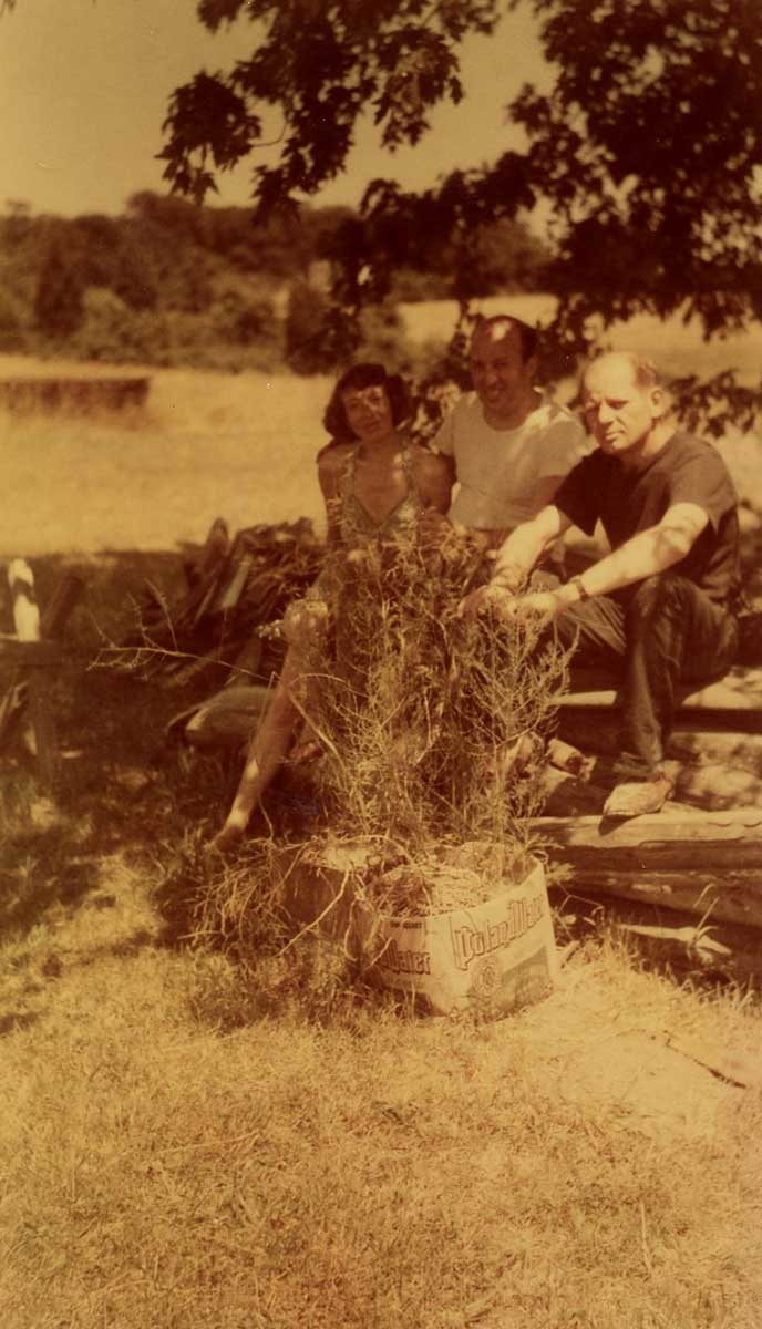 krasner greenberg photo