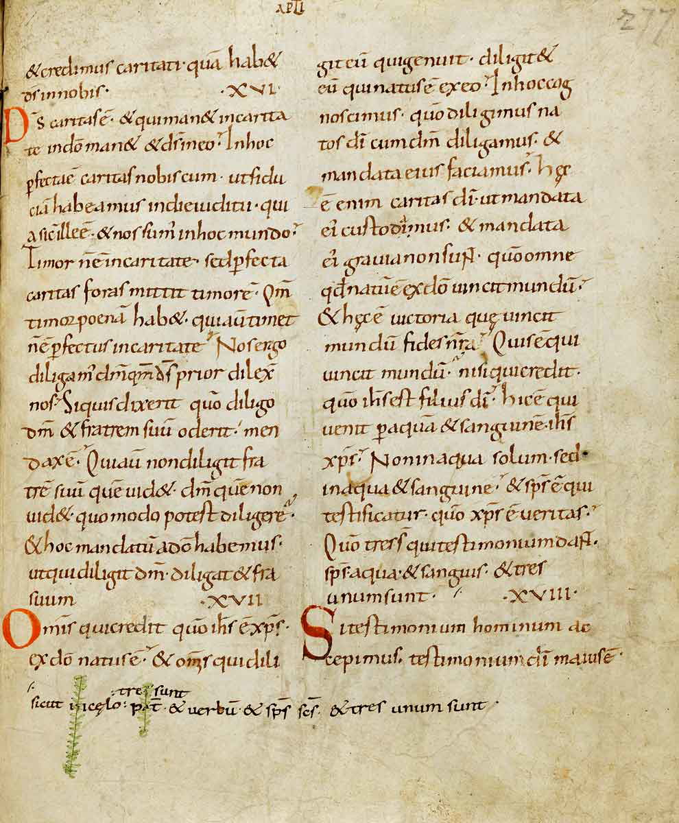 page from saint jerome vulgate