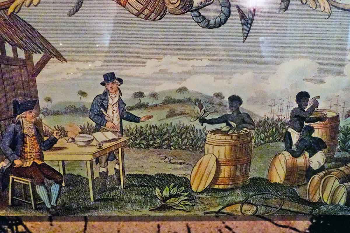 richard laurie tobacco plantation