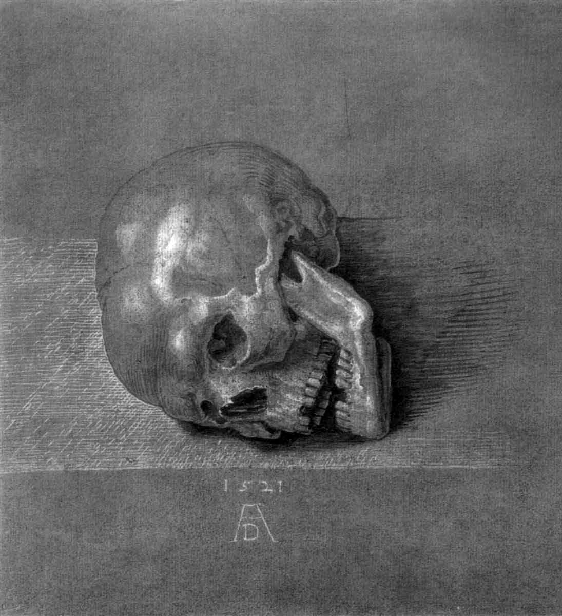 skull