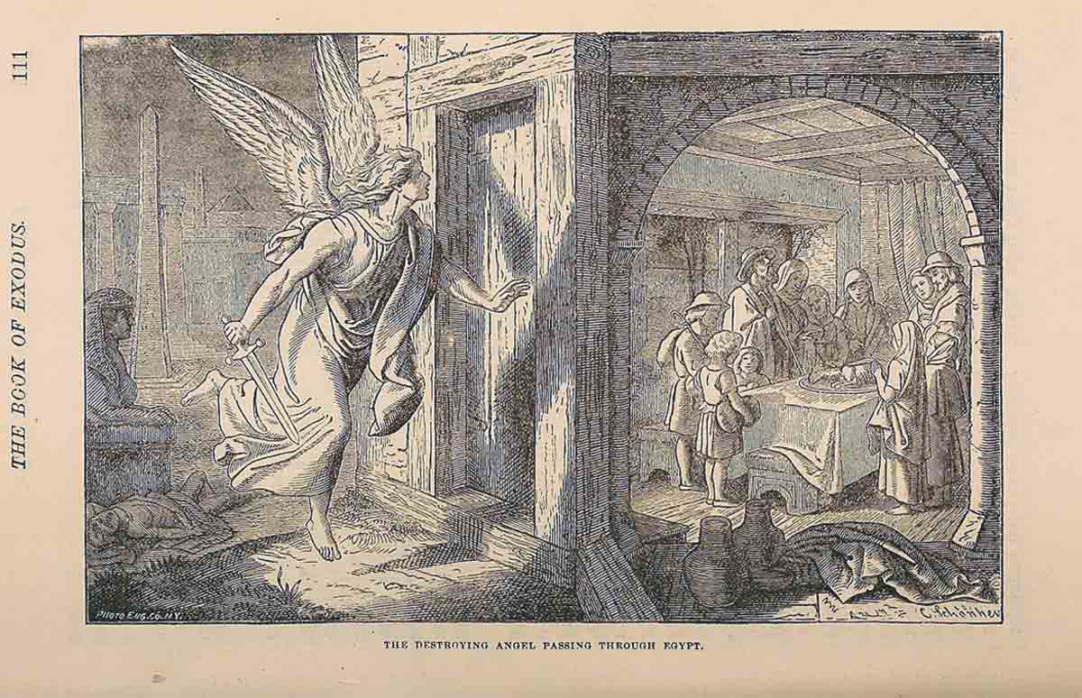 the destroying angel passing through egypt