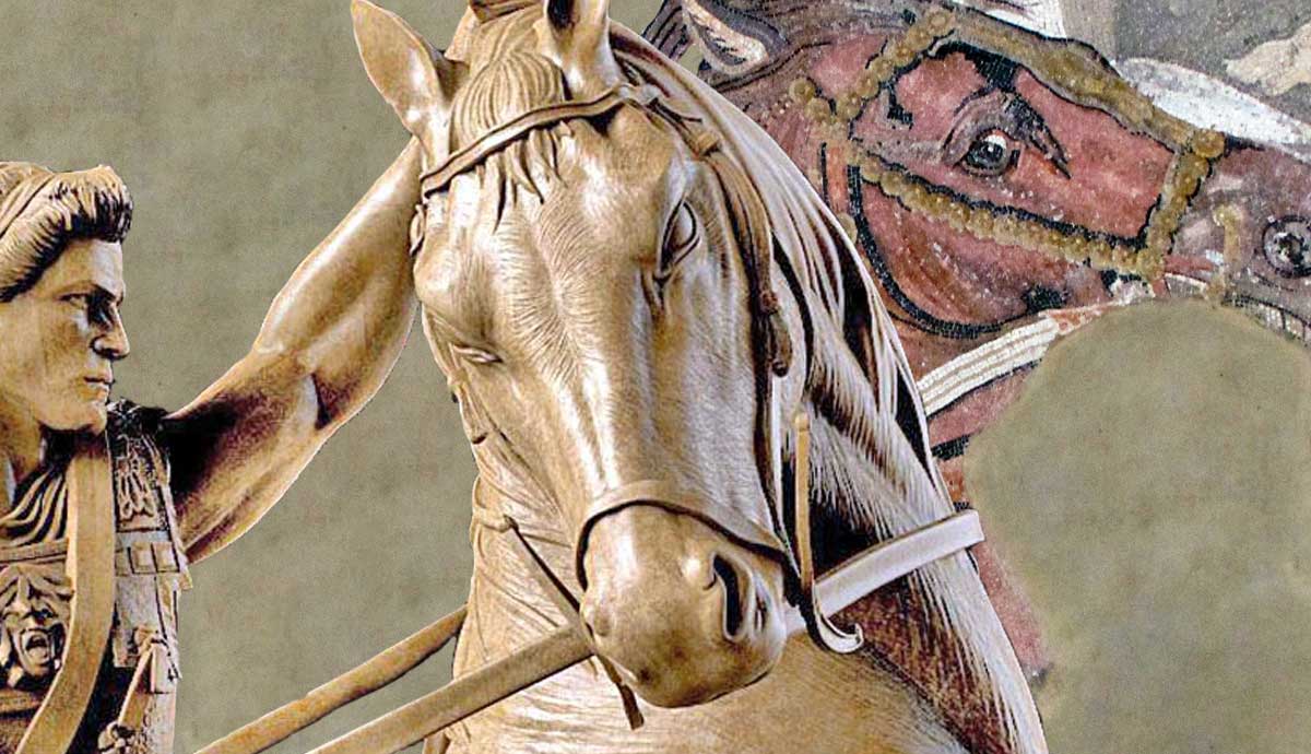 Alexander The Great s Legendary Horse Who Was Bucephalus TheCollector Alexander The Great s Legendary Horse Who Was Bucephalus TheCollector