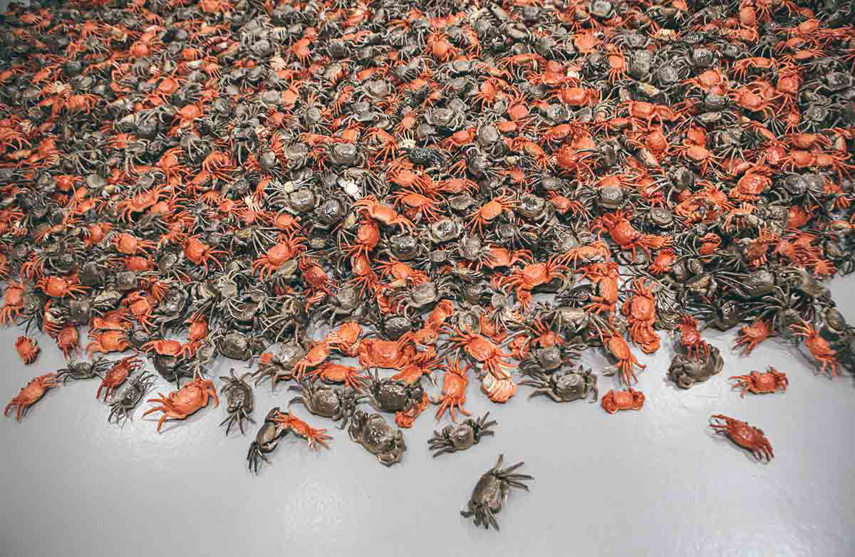 ai weiwei crabs hexie