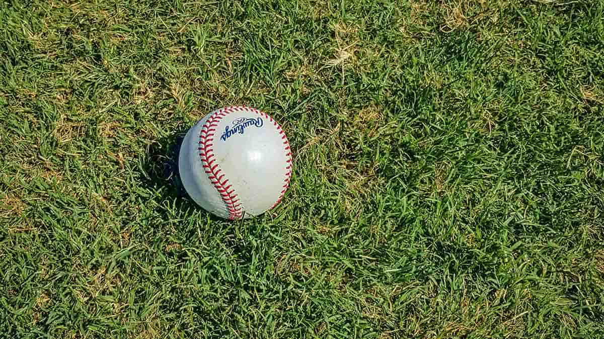 baseball grass haruki murakami writer epiphany sports