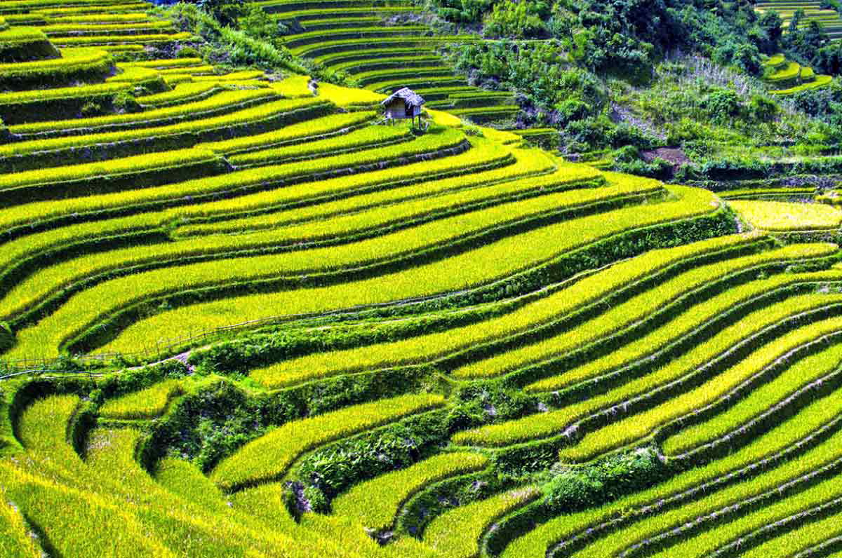 mucangchai photo