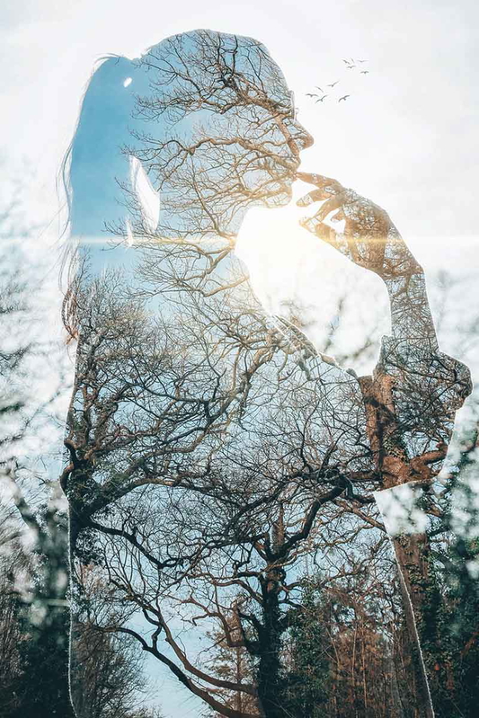 Nature Within, photography by Olcay Ertem. Source: Pixabay