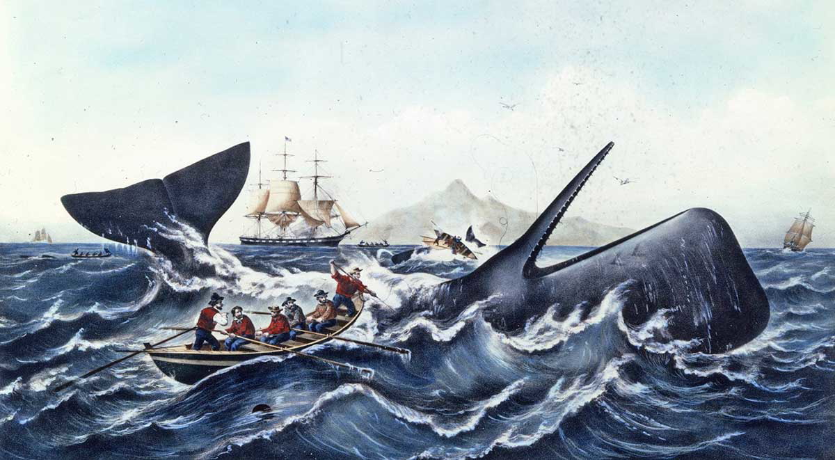 new-bedford-whalers