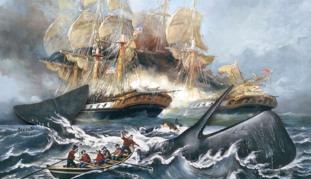 6 Outrageous Whaling Stories