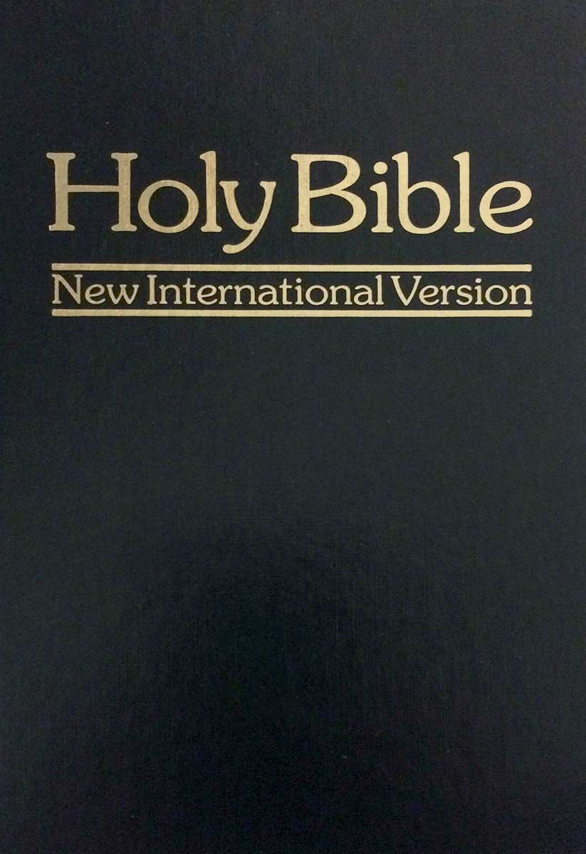 translation of the bible new international version