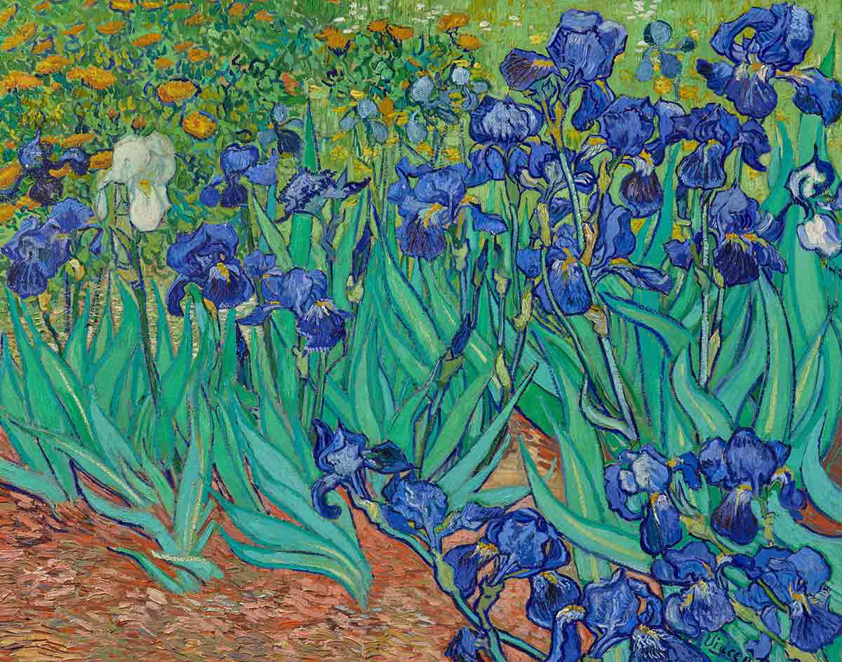 van gogh irises painting