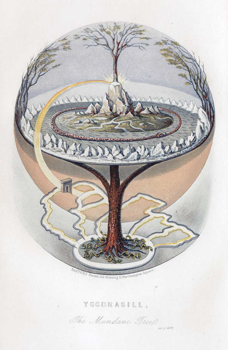 yggdrasil magnusson print