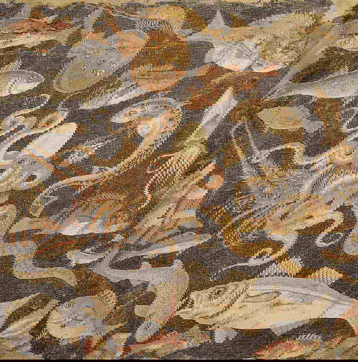 Marine mosaic