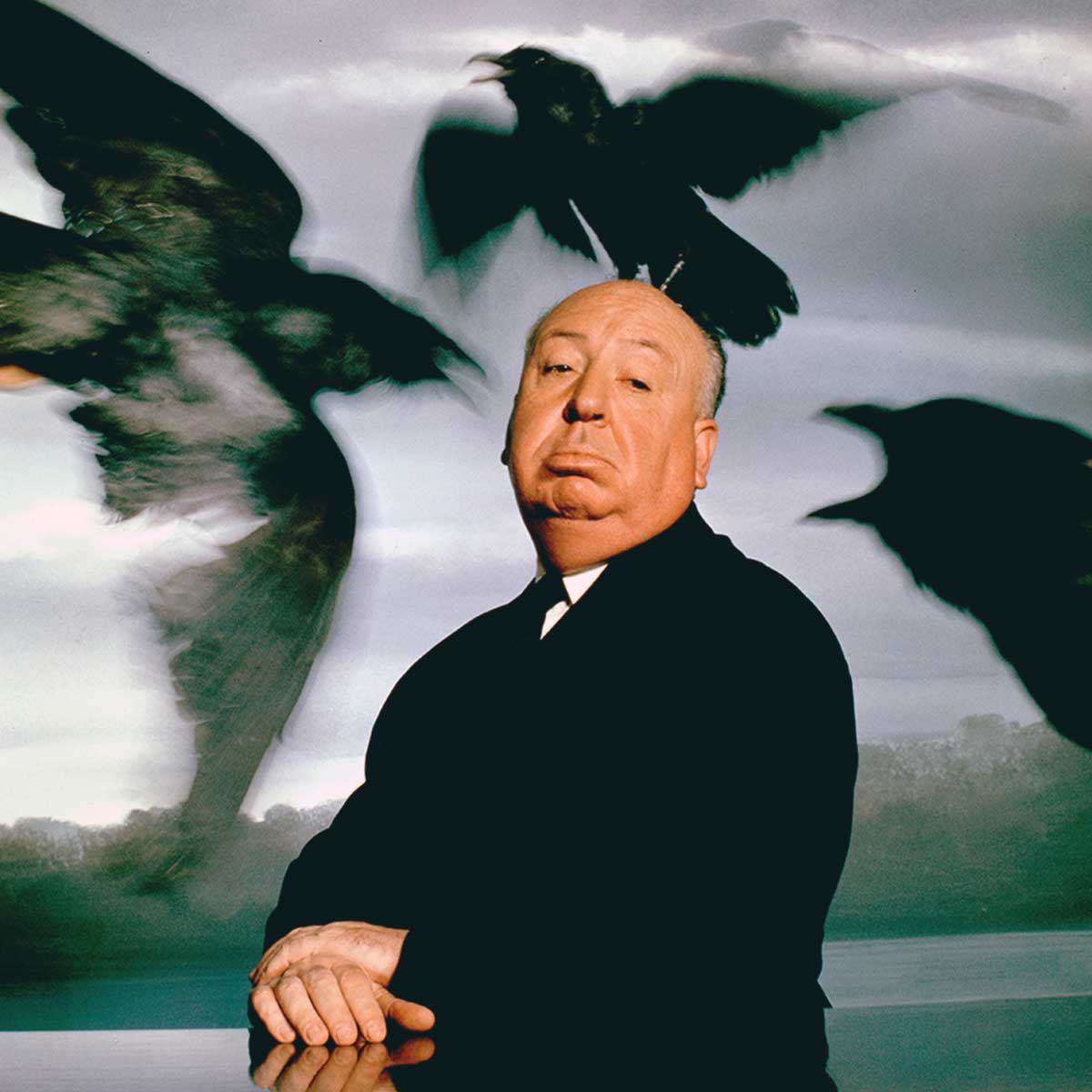alfred hitchcock birds auteur