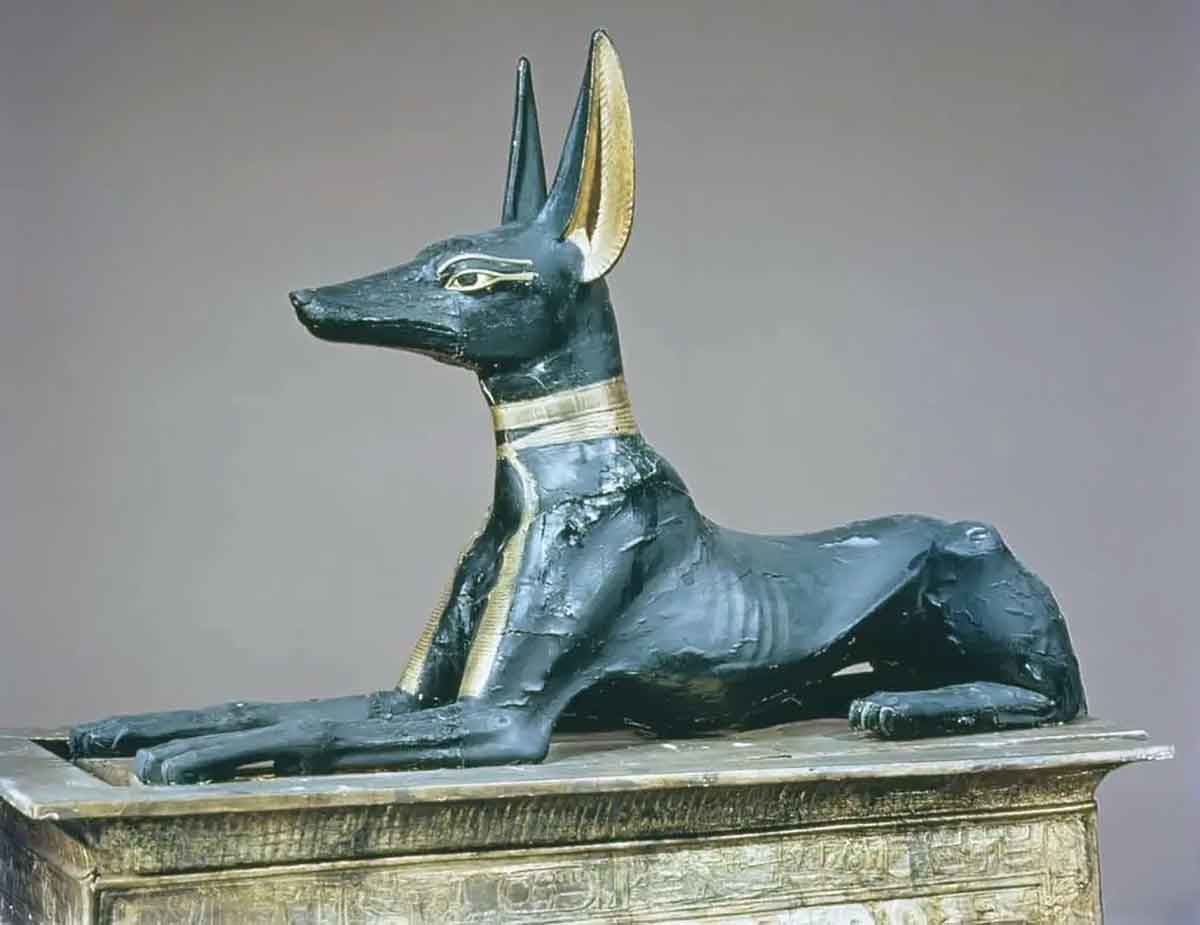 anubis tutankhamun egypt