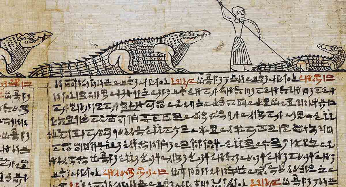 crocodile illustration book dead imhotep priest horus