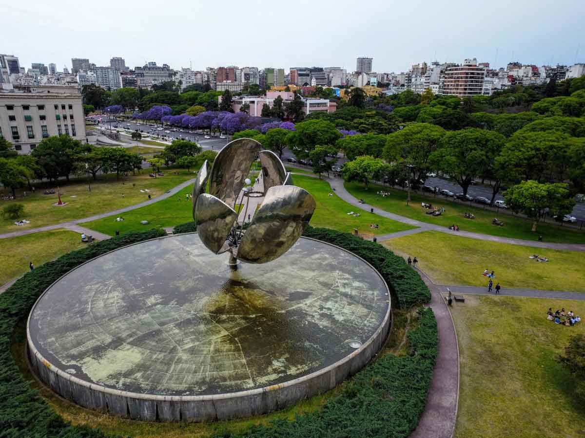 floralis generica buenos aires