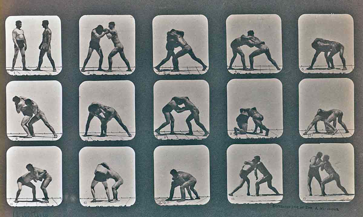 muybridge wresting photography