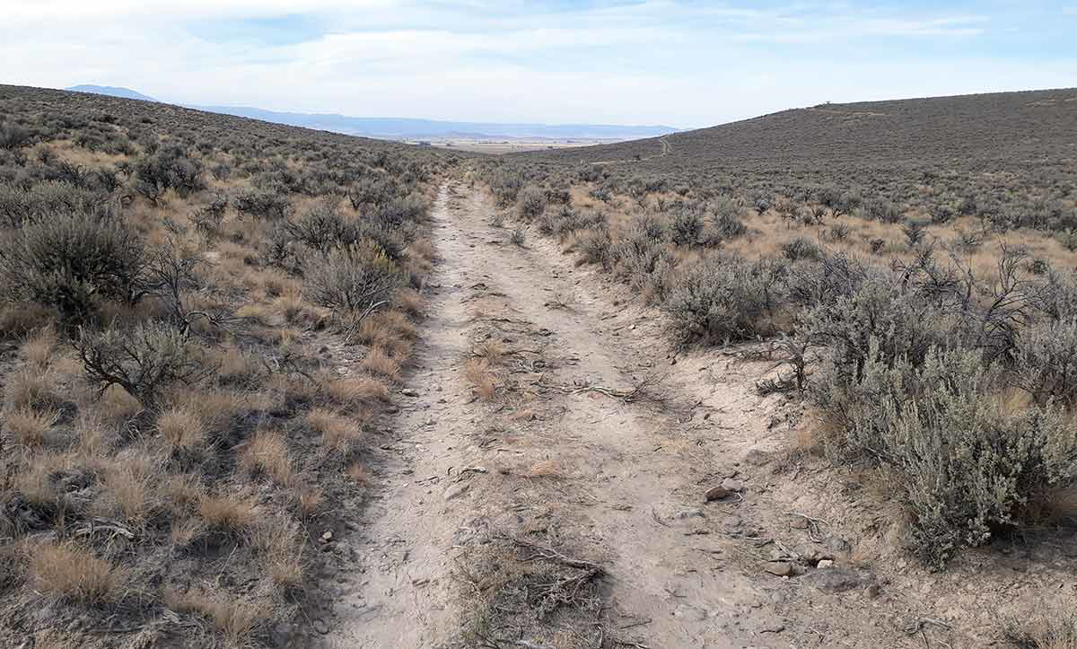 Wagon trail ruts in Oregon. Source: Normans Running Wild