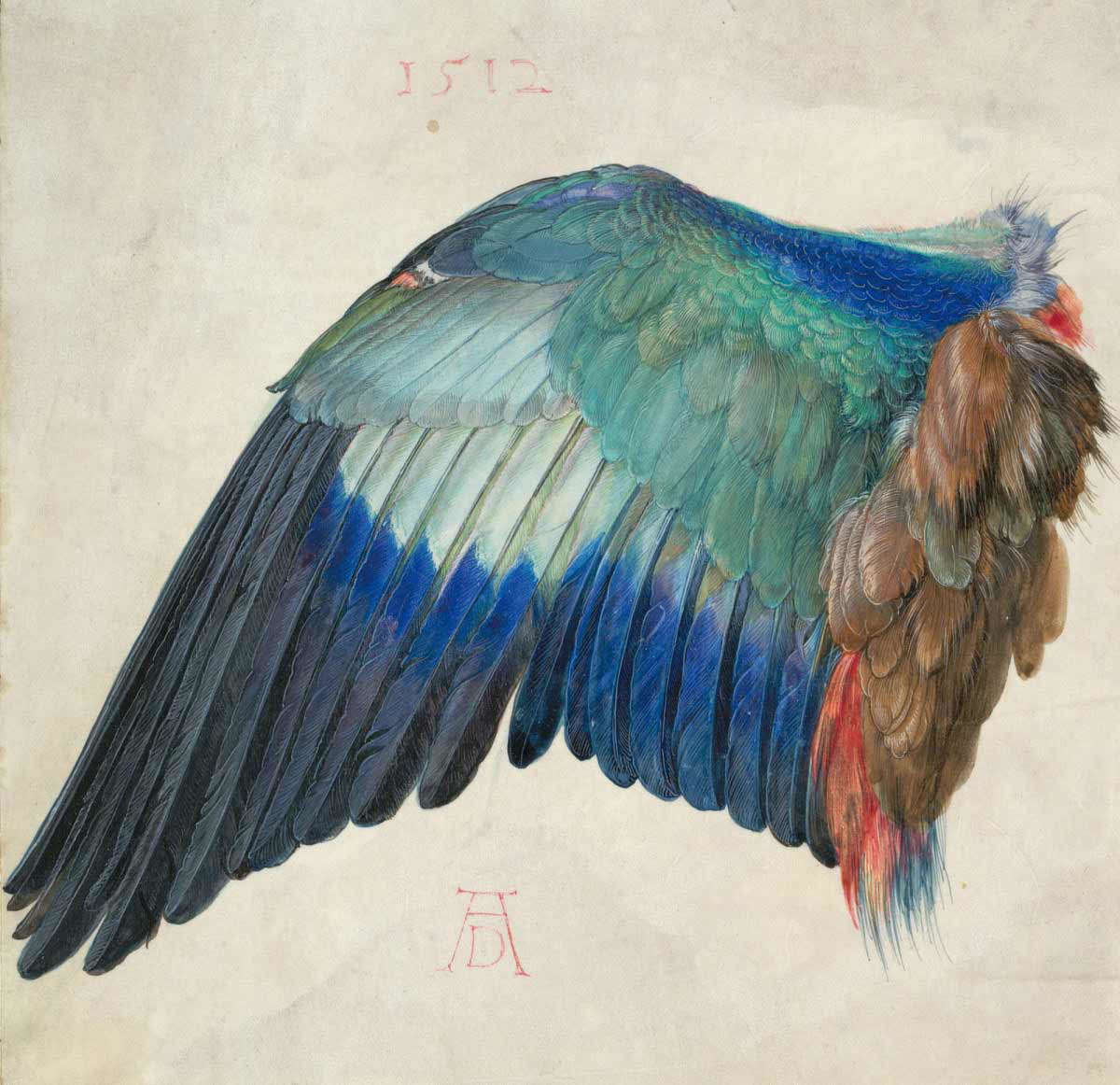 protestant reformation durer wing watercolor