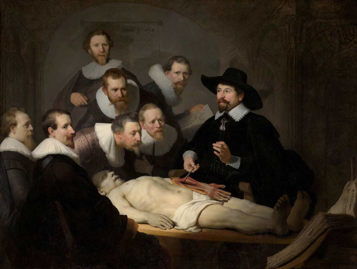 rembrandt anatomy painting