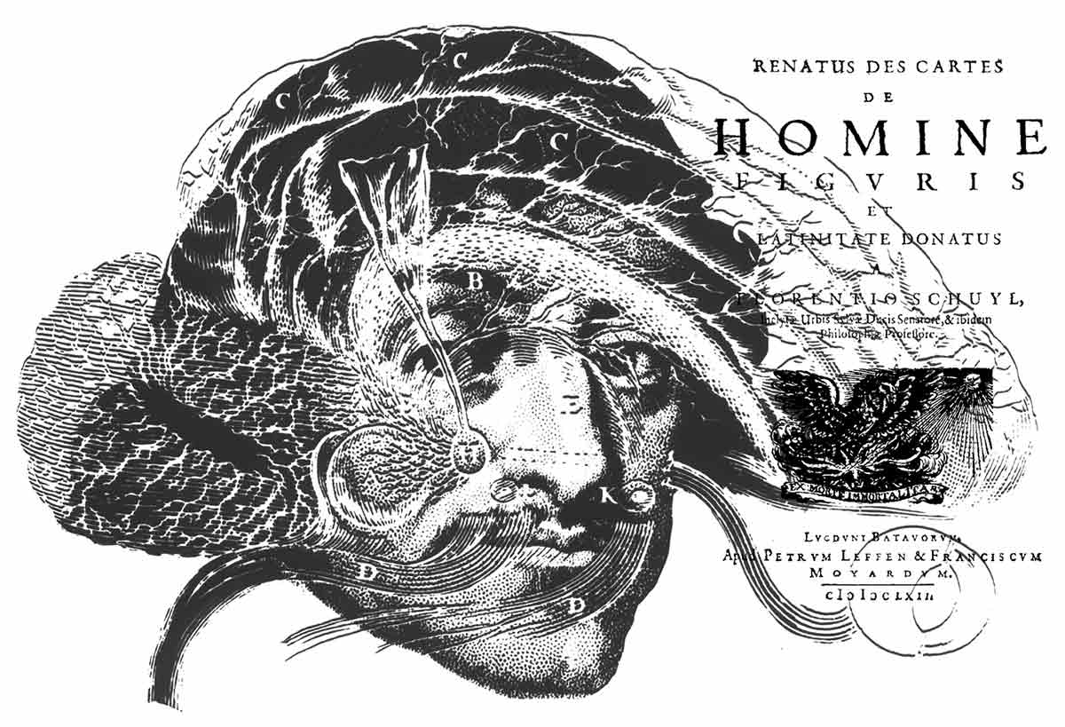 rene descartes homine neuroscientists portrait