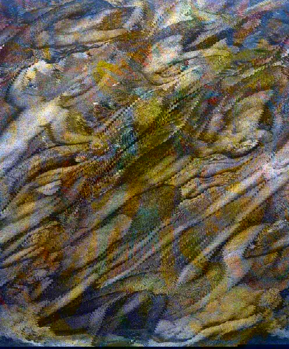 spiritual form nelson guiding leviathan william blake