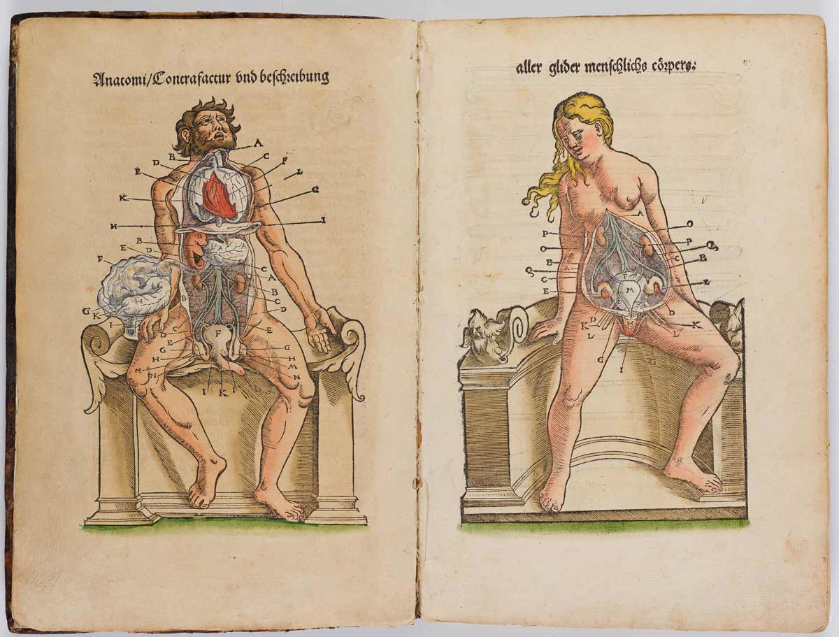 16th century anatomy book