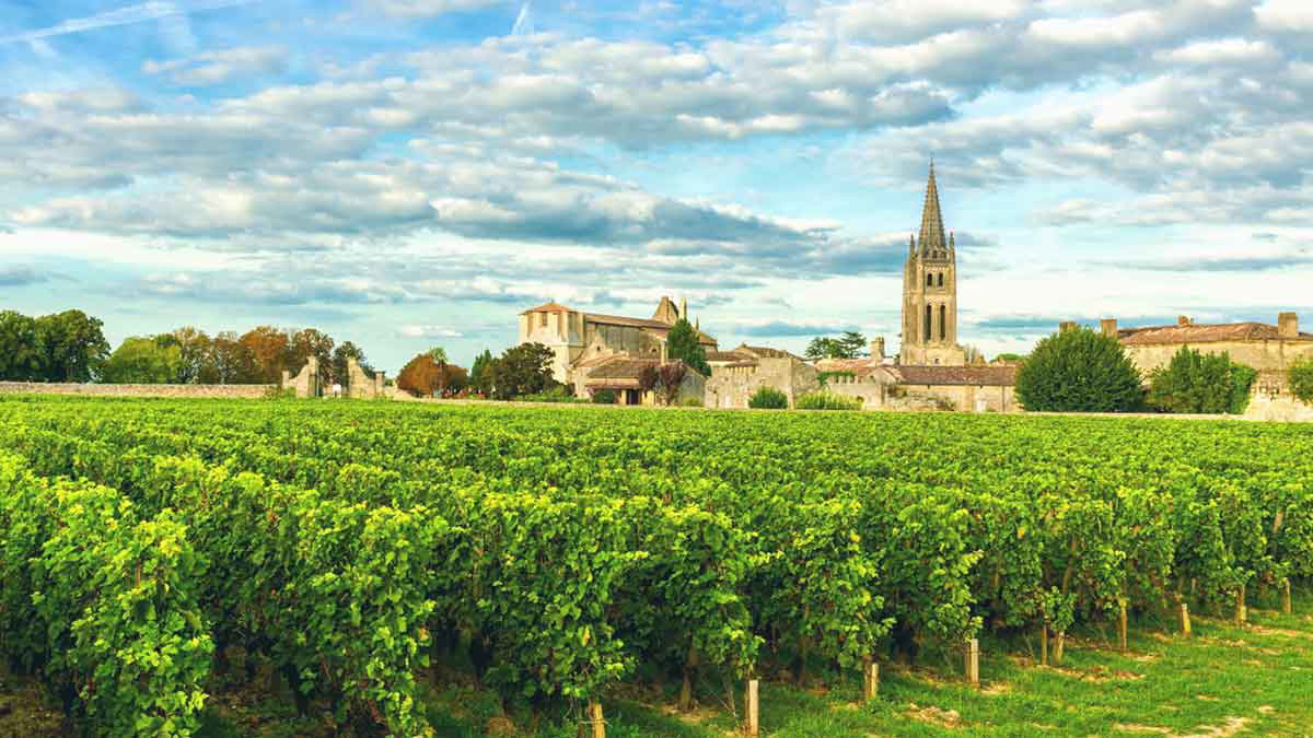 bordeaux wine vineyard church