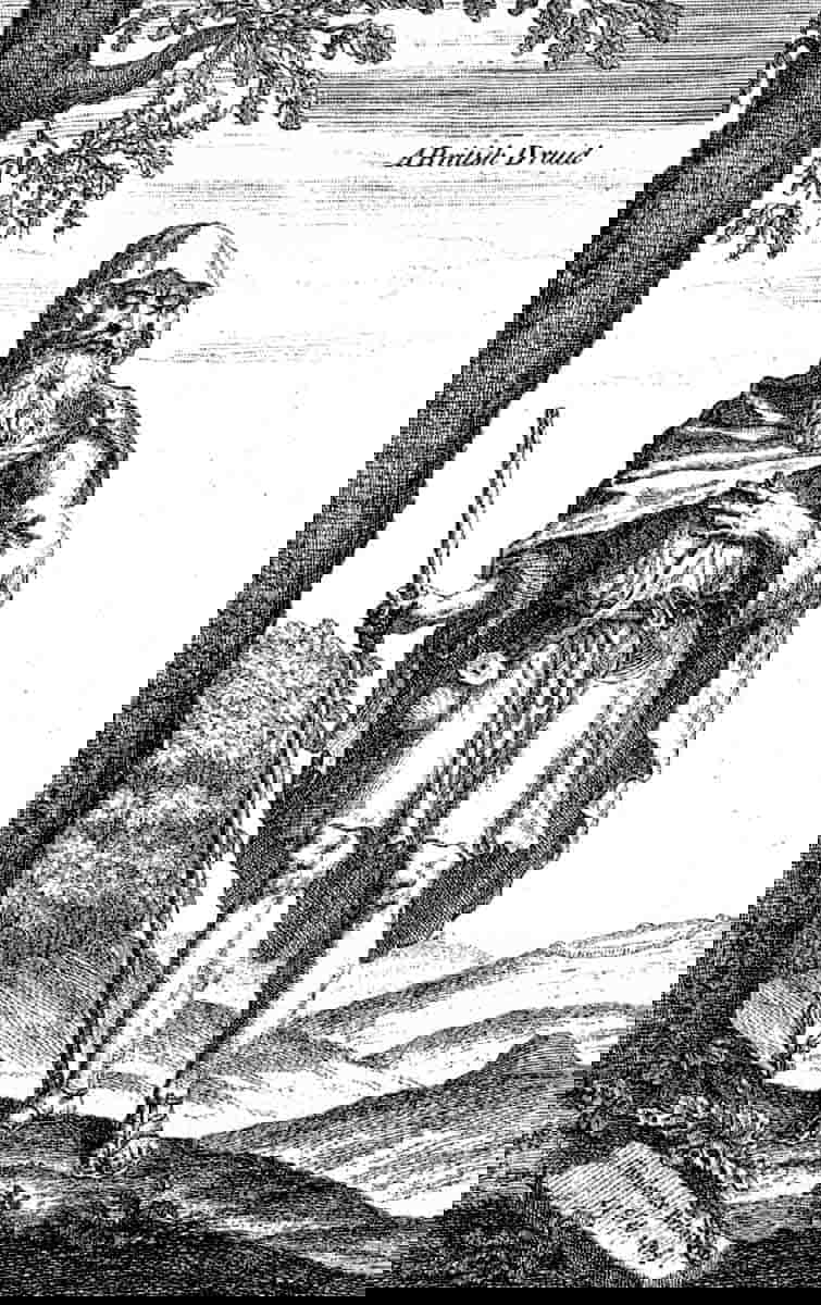 british druid william stukeley